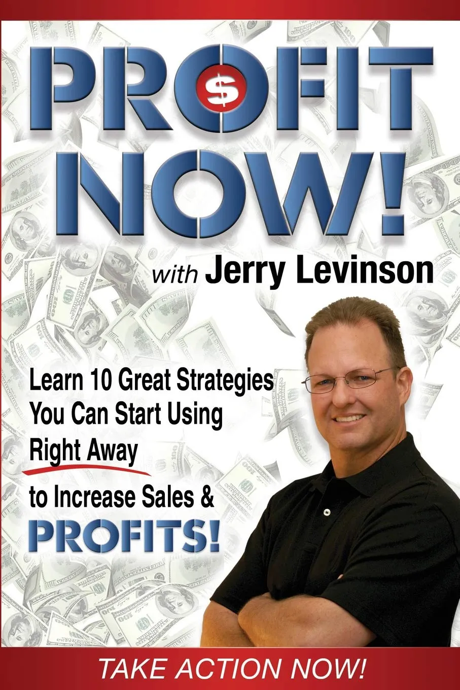Profit Now by Jerry Levinson